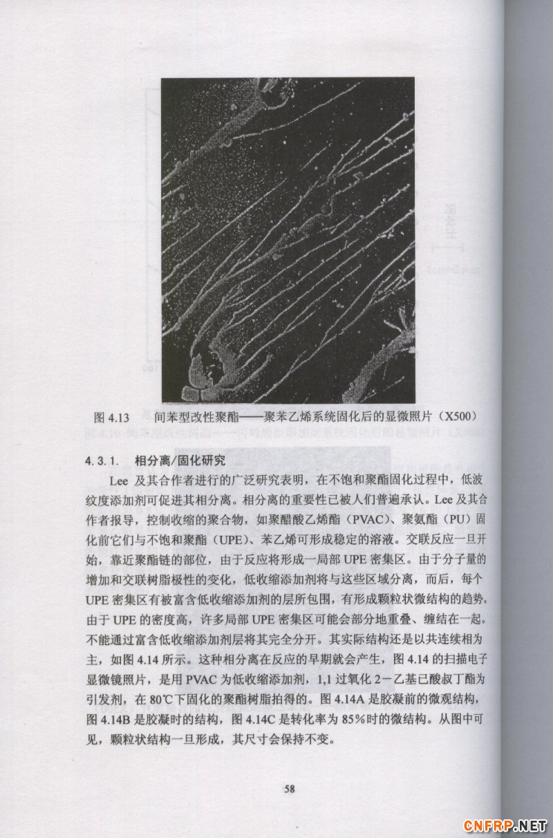 片狀模塑料 58