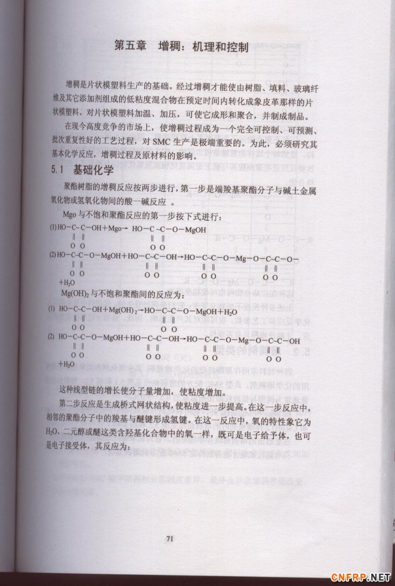 片狀模塑料 71
