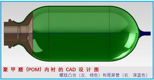 楊5