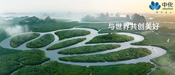 中化